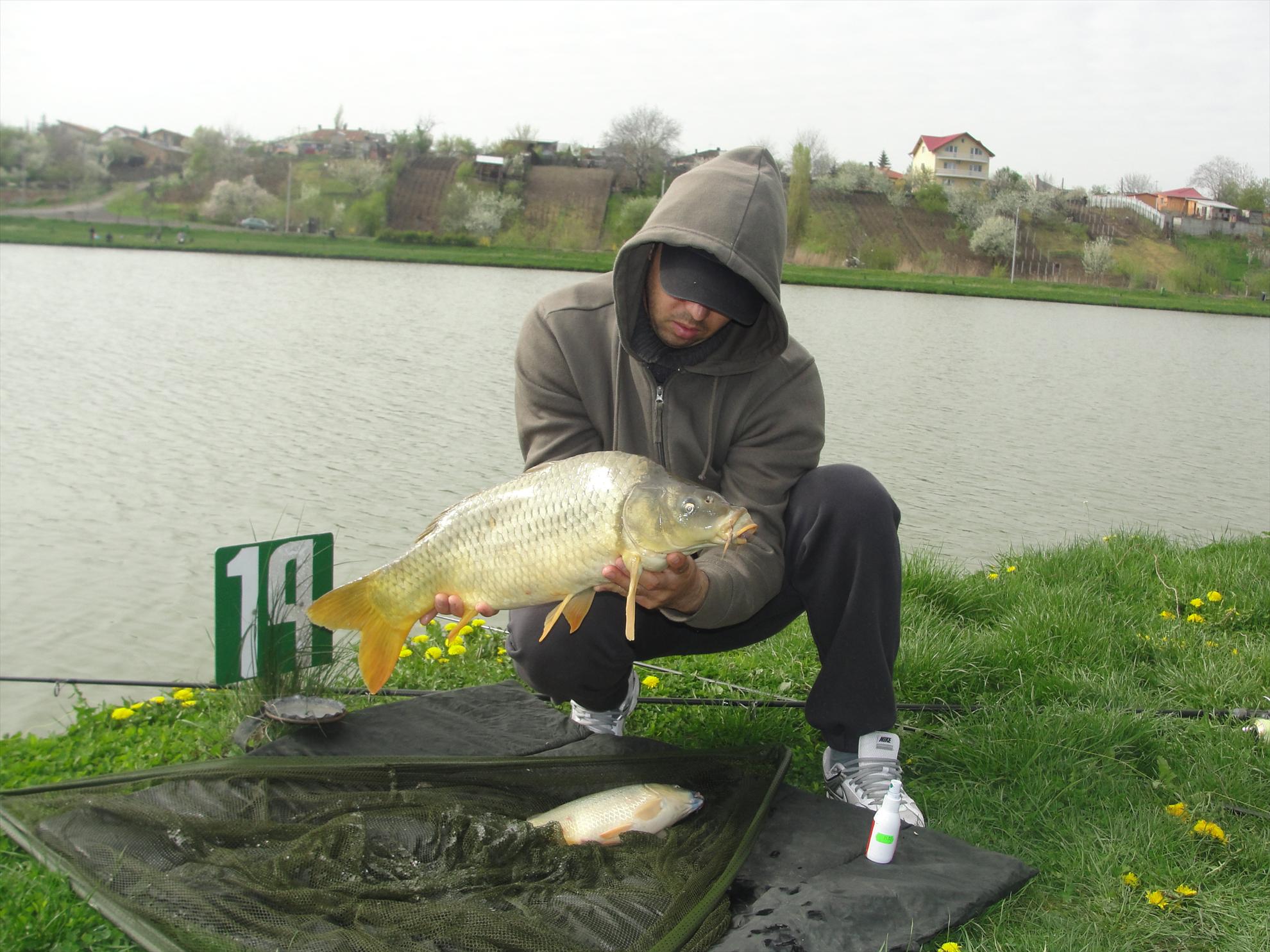 Floarea Popestiului 20 - 20 apr. - dsc09585.JPG